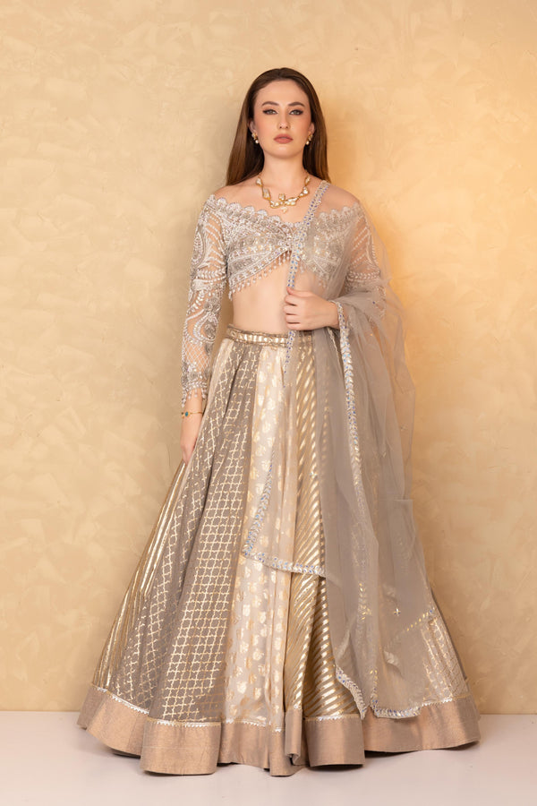 Silver Grey Royal Banarasi Brocade Lehenga and Handcrafted Blouse with Full Sleeves