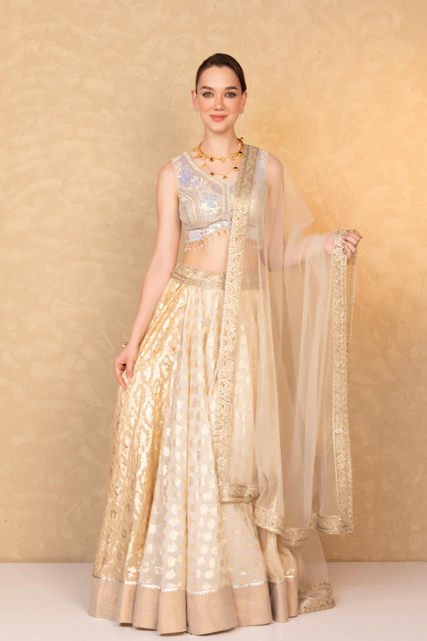 Champagne Gold Royal Banarasi Brocade Lehenga