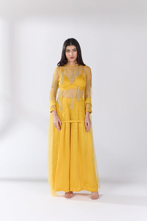 Citron Drift Sheer Embellished Indo Western Top, Blouse & Palazzos