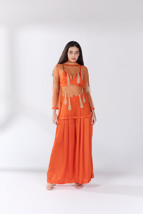 Mandarin Mirage Sheer Embellished Indo Western Top, Blouse & Palazzos