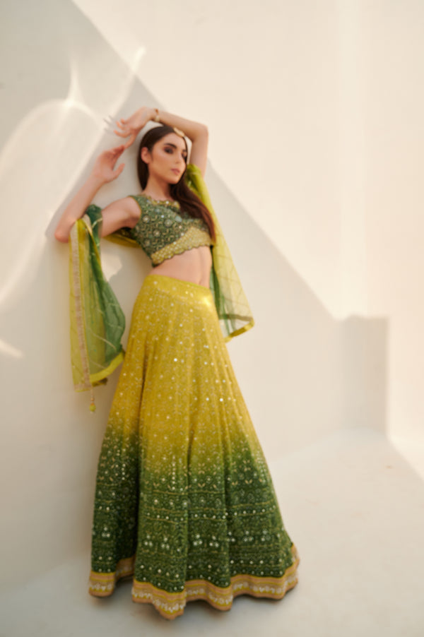 Leaf Green Ombre Lehenga Set