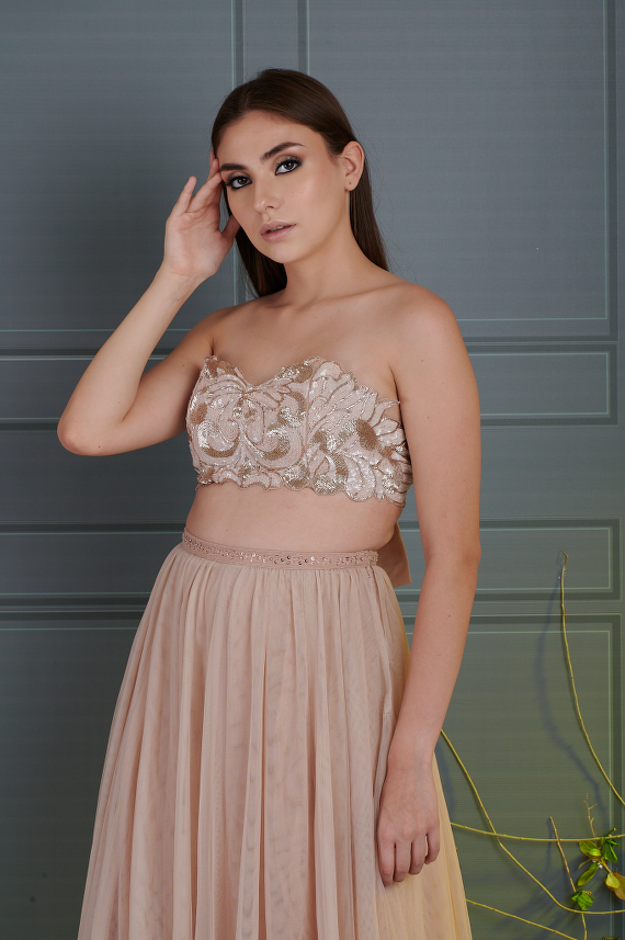 Rosy Rhapsody Tulle Skirt and Bustier Blouse